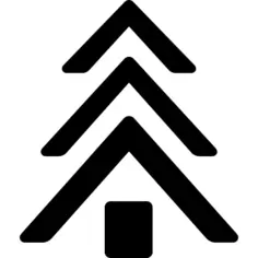 Pine