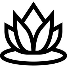 Water lily