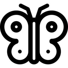 蝴蝶