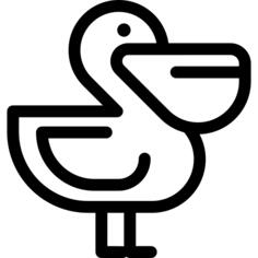 Pelican