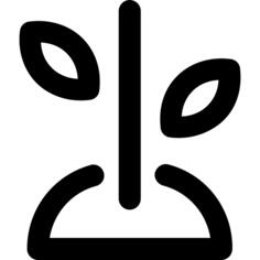 发芽