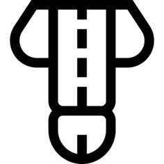 Penis