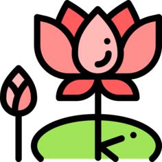 Lotus