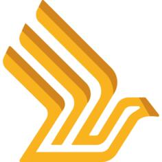 Singapore airlines