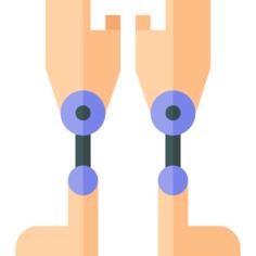 Prothesis