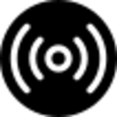 Surveillance disc for data storage of video film