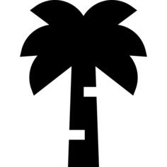 Palm tree