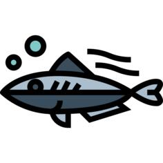 Mackerel