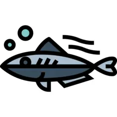 鲭鱼