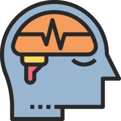 Brain