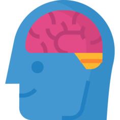 Brain