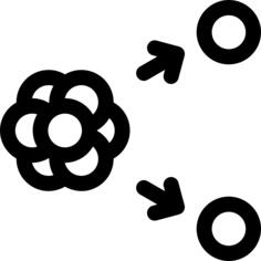Atom