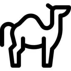 Camel