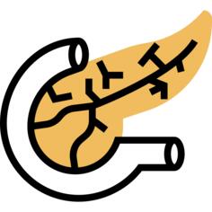 胰腺