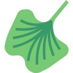 Lettuce