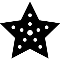 海星