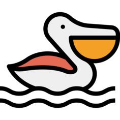 Pelican