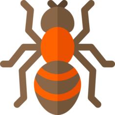 Ant