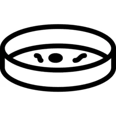 Petri dish
