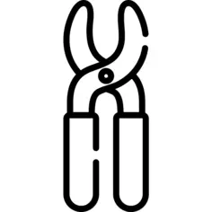 牙齿