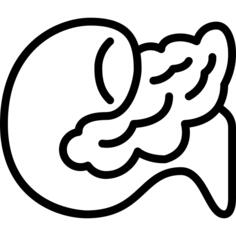 胰腺