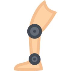 Prothesis