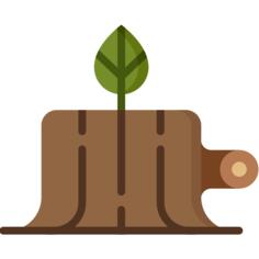 Stump