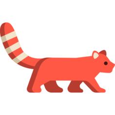 小熊猫
