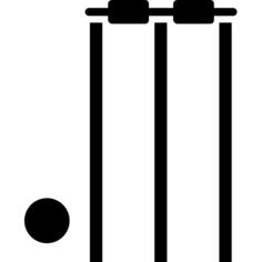 Cricket