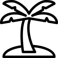 棕榈树