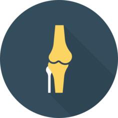 Knee