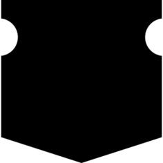 Shield warrior protector
