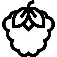 Raspberry