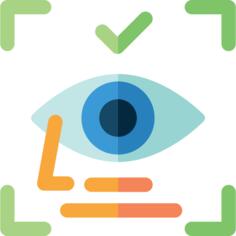 Retina
