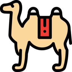 Camel