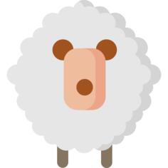 Sheep