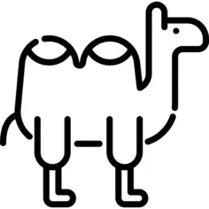 Camel
