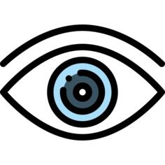 Eye