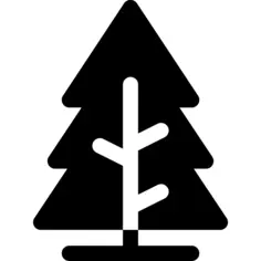 Pine