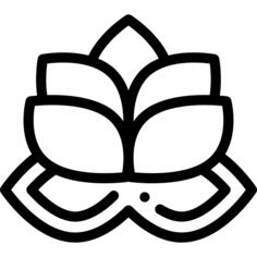 莲花
