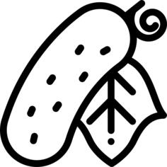 Cucumber