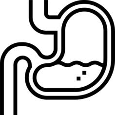 Stomach