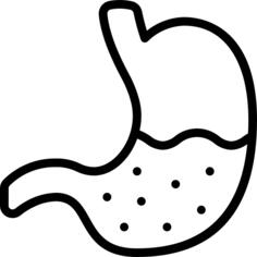 Stomach