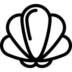 蛤