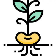 豆