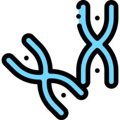 Chromosome