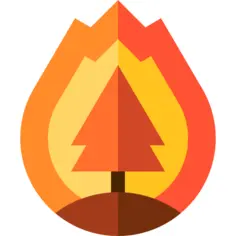 Forest fire