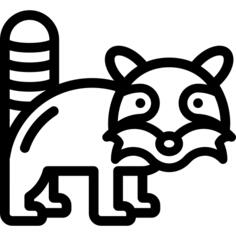 Raccoon