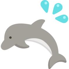 海豚