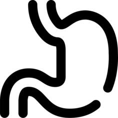 Stomach